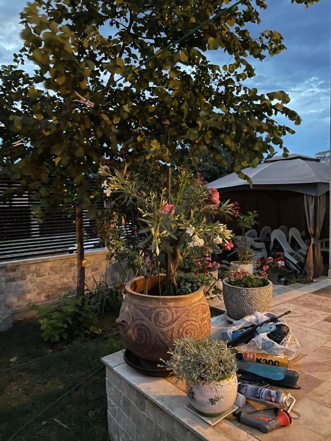 Hotel Casa Adriana Eforie Sud  Zewnętrze zdjęcie